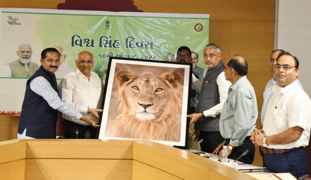 આજે વિશ્વ સિંહ દિવસના રોજ ગુજરાત સરકારે શું કર્યું?